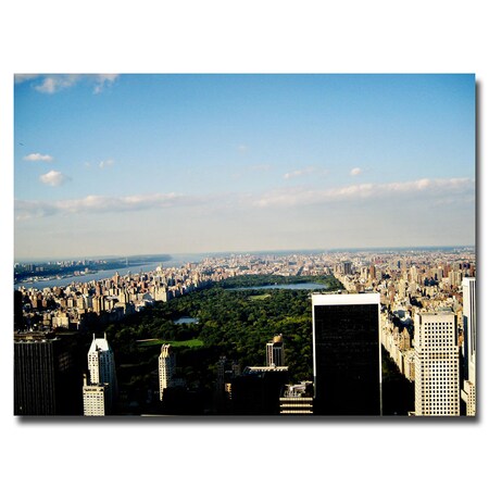 Trademark Fine Art Ariane Moshayedi 'NYC Skies' Canvas Art, 24x32 AM0068-C2432GG